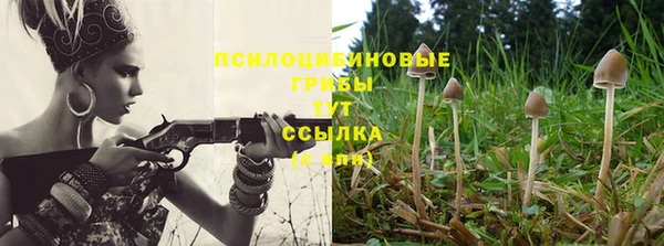 альфа пвп Магас